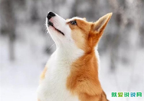 致我们回不去的青春说说