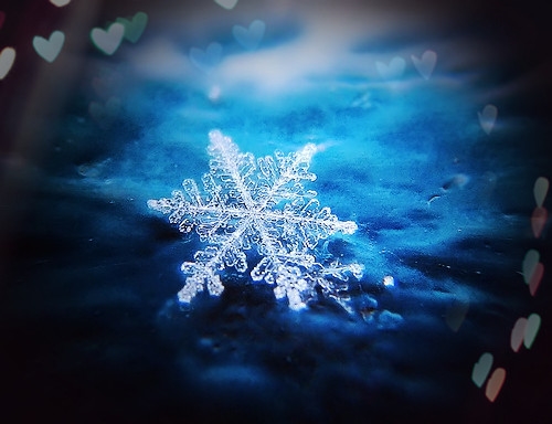 孩子玩雪的优美句子(精选60句)