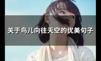 关于关于鸟儿向往天空的优美句子(精选33句)大全