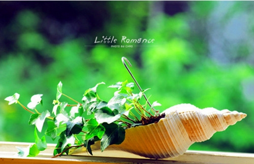 写心情低落郁闷的诗词(精选72句)