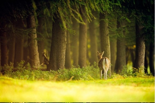舍不得离开学校的说说(通用68句)