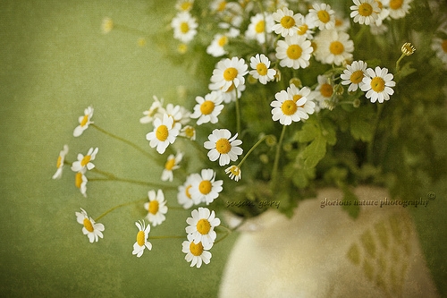 在海边晒黑的心情说说(精选83句)