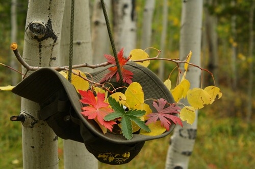 晒自己女儿的幽默说说(共67句)