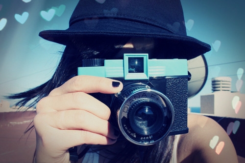 表达摘果子发圈说说(精选81句)