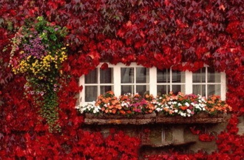 简单成熟低调的说说(必备150句)