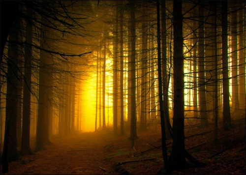 猜不透得人心的说说(精选61句)