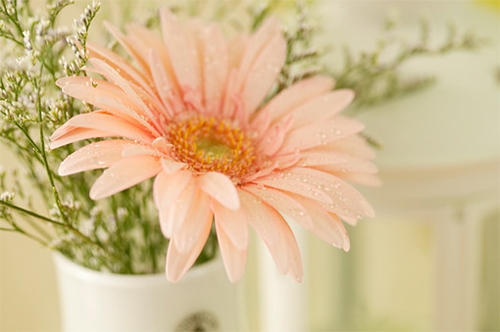 女人压力大的心情说说(通用64句)