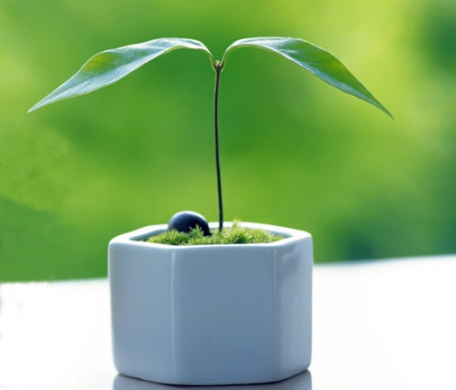 适合29岁生日发的说说(推荐64句)