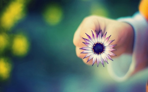 祝愿自己生日的说说(必备181句)