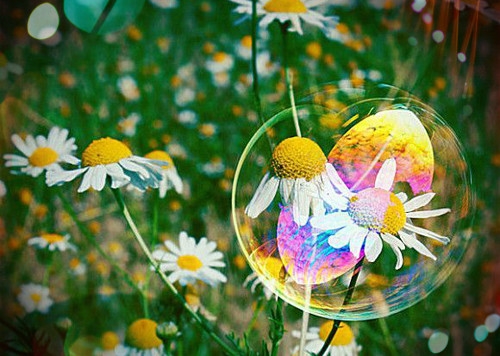 对感情不再低三下四的说说(推荐81句)