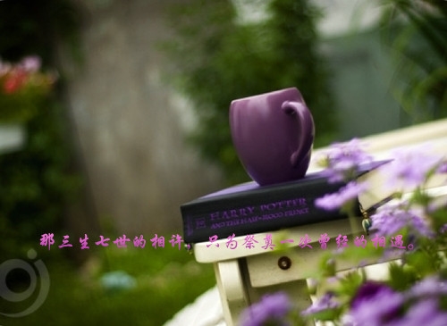 随缘顺其自然的说说(通用117句)