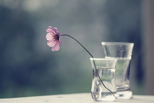 与党同庆的生日说说(优选91句)