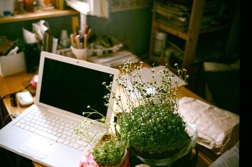 传递正能量的说说(推荐135句)