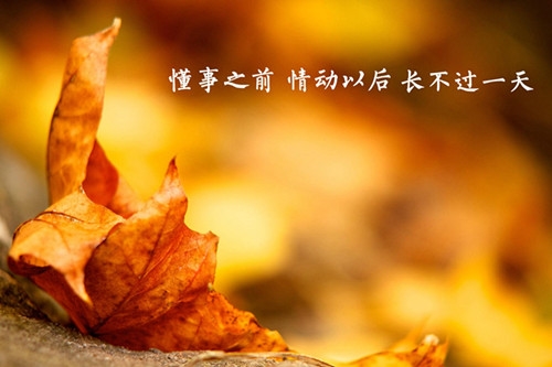 励志爱情的句子致自己简短(49句)