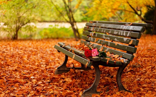 致自己晚安的朋友圈说说(共87句)