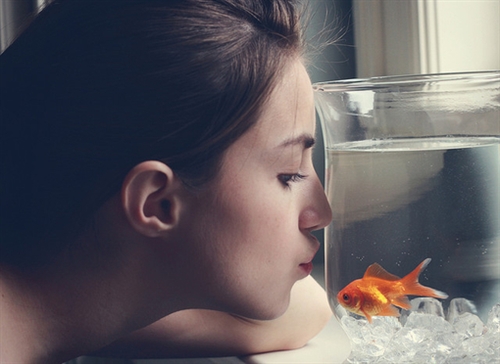 是时候结束了的说说(必备40句)