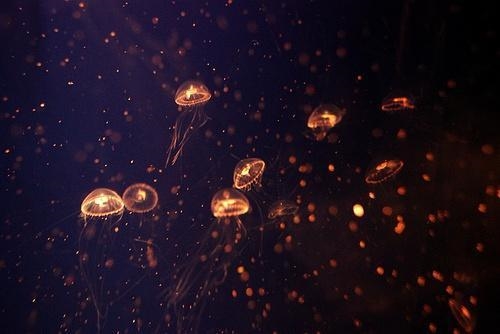 在外漂泊的伤感的说说(通用54句)