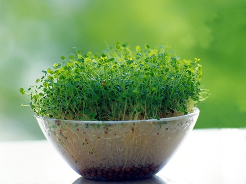 希望朋友开开心心的说说(优选99句)