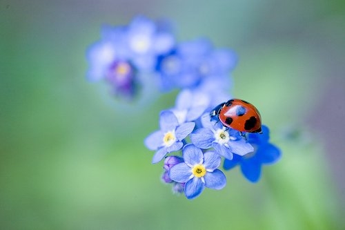 自己发婚纱照配的说说(通用82句)