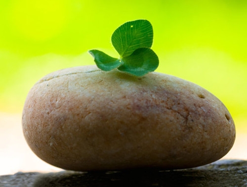 美食治愈心情的句子(精选97句)