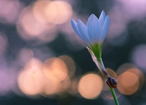 朋友圈说说好玩的好句子(精选172句) 朋友圈说说好玩的好句子(精选172句)