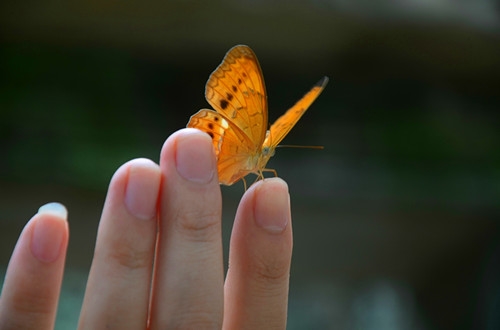 变得安静的说说句子(热门87句)