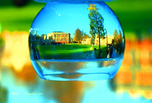 走进一个人的心里句子说说(汇总109句)