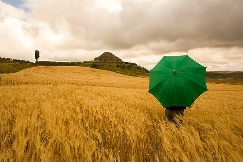 小伙伴一起玩的说说(汇总62句)