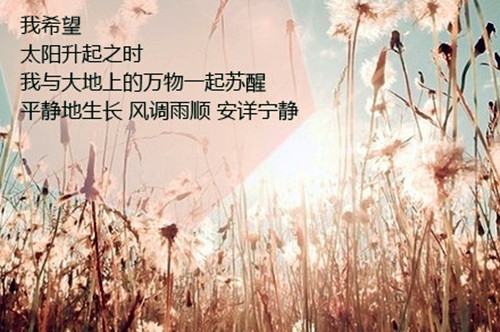 两口子感觉越来越陌生的说说(55句) 两口子感觉越来越陌生的说说(55句)