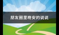 朋友圈里晚安的说说(推荐161句)【图】