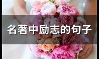 关于名著中励志的句子(精选46个)大全