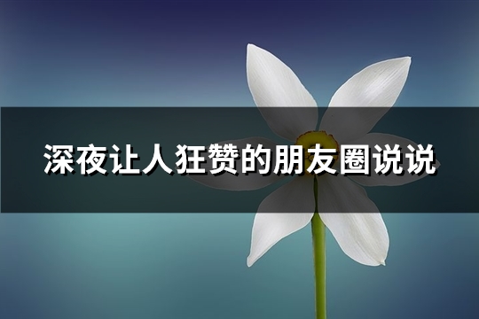 深夜让人狂赞的朋友圈说说(共86句) 深夜让人狂赞的朋友圈说说(共86句)