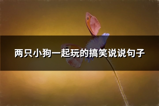 两只小狗一起玩的搞笑说说句子(优选69句)