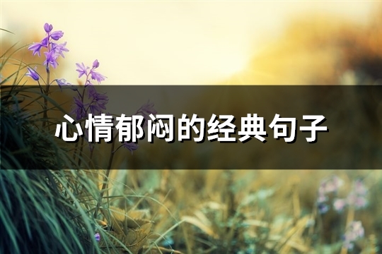 心情郁闷的经典句子(热门80句)