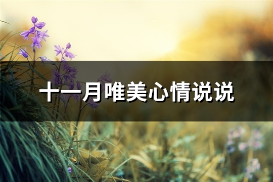 十一月唯美心情说说(热门92句)
