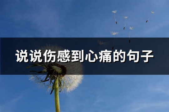 说说伤感到心痛的句子(实用104句)
