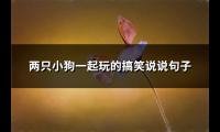 两只小狗一起玩的搞笑说说句子(优选69句)【图】