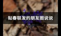 贴春联发的朋友圈说说(热门77句)【图】