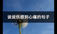 说说伤感到心痛的句子(实用104句)【图】