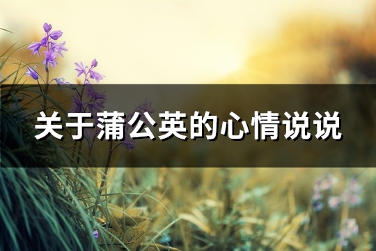 关于蒲公英的心情说说(实用32句)