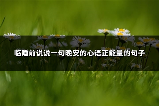 临睡前说说一句晚安的心语正能量的句子(汇总91句) 临睡前说说一句晚安的心语正能量的句子(汇总91句)