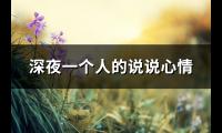 深夜一个人的说说心情(101句)【图】