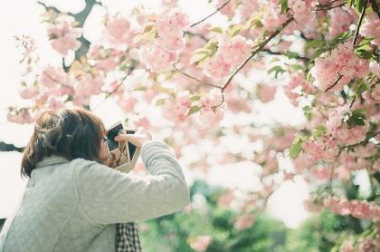 祝老师教师节的祝福语简短