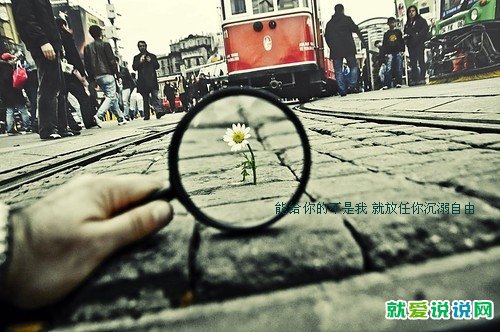 关于失恋的人发的微信动态
