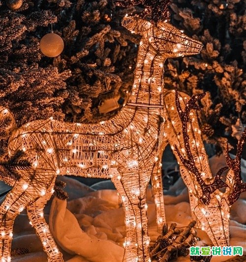 圣诞节送给闺蜜的祝福语