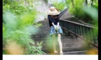 关于讽刺性(具有)精选