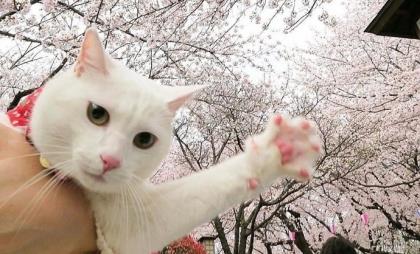 告别6月迎接7月的句子