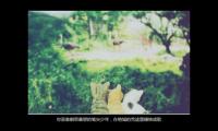 关于给医护人员祝福语[44条]((祝你节日快快乐乐))精选