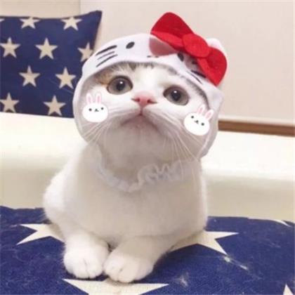 qq说说文案沙雕