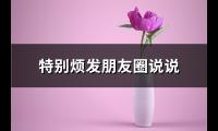 特别烦发朋友圈说说(实用67句)【图】